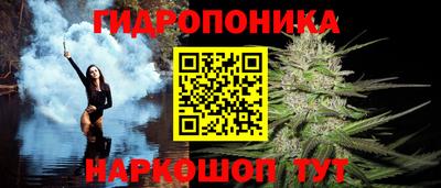 хмурый Кимры